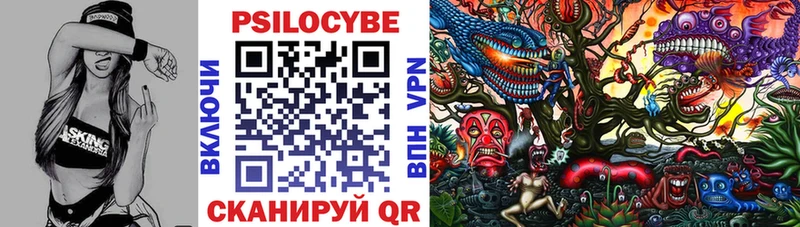Купить где  Снежинск  Псилоцибиновые грибы Psilocybine cubensis 
